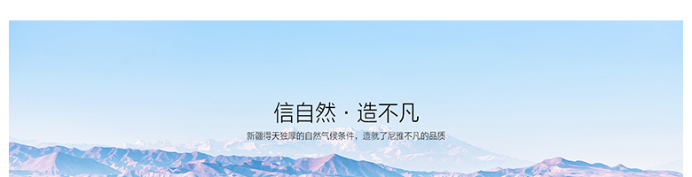尼雅釀酒師簽名版赤霞珠干紅葡萄酒3000ml木質禮盒裝