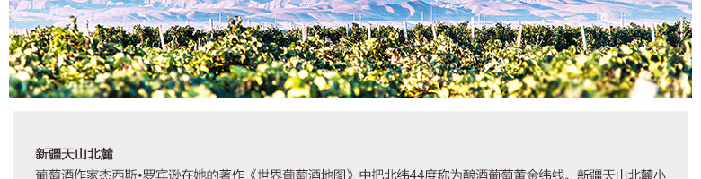 尼雅釀酒師簽名版赤霞珠干紅葡萄酒3000ml木質禮盒裝