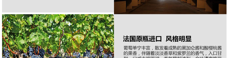 法國整箱紅酒法國拉菲珍藏波爾多法定產區紅葡萄酒（ASC正品行貨）