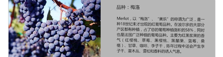 法國整箱紅酒法國拉菲珍藏波爾多法定產區紅葡萄酒（ASC正品行貨）