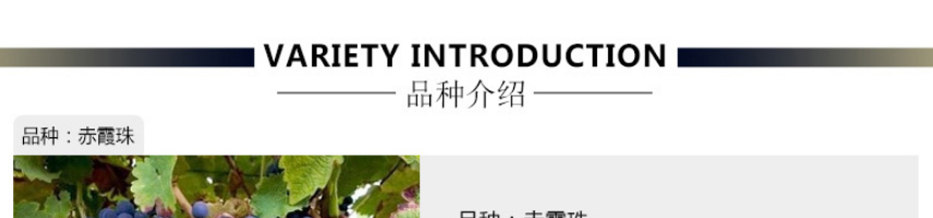 法國拉菲羅斯柴爾德珍藏梅多克法定產區紅葡萄酒750ml
