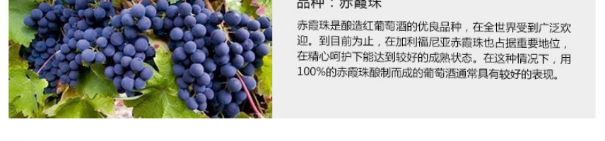 法國拉菲羅斯柴爾德珍藏梅多克法定產區紅葡萄酒750ml